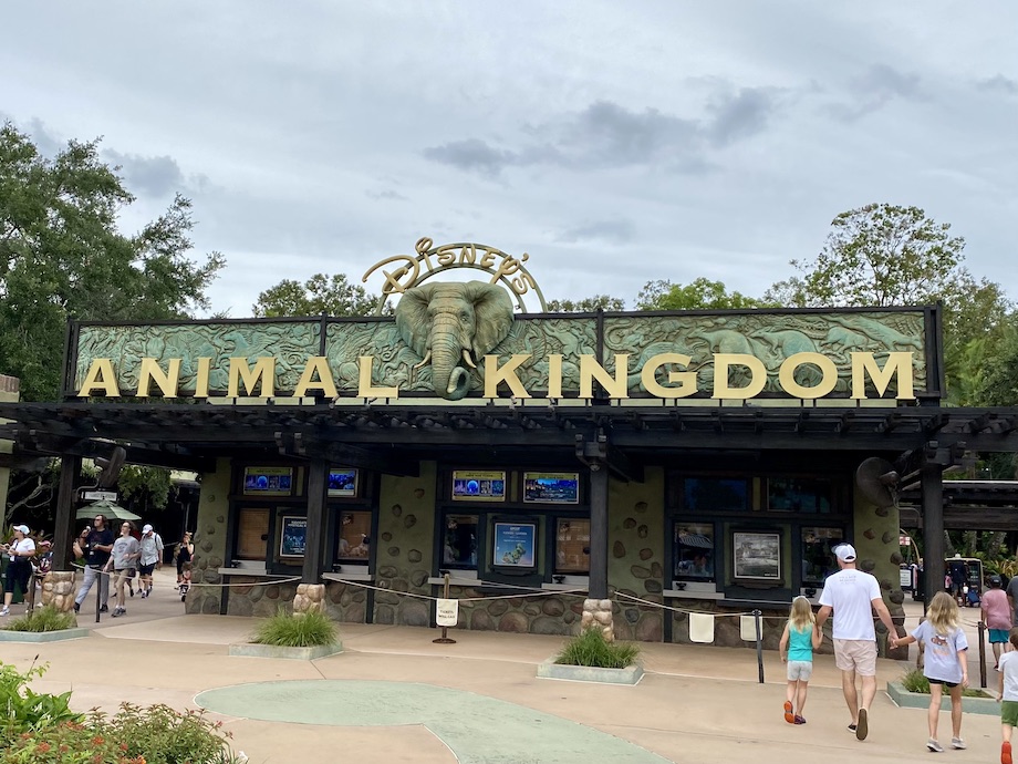 Travel Walt Disney World 50th Anniversary Celebration Animal Kingdom