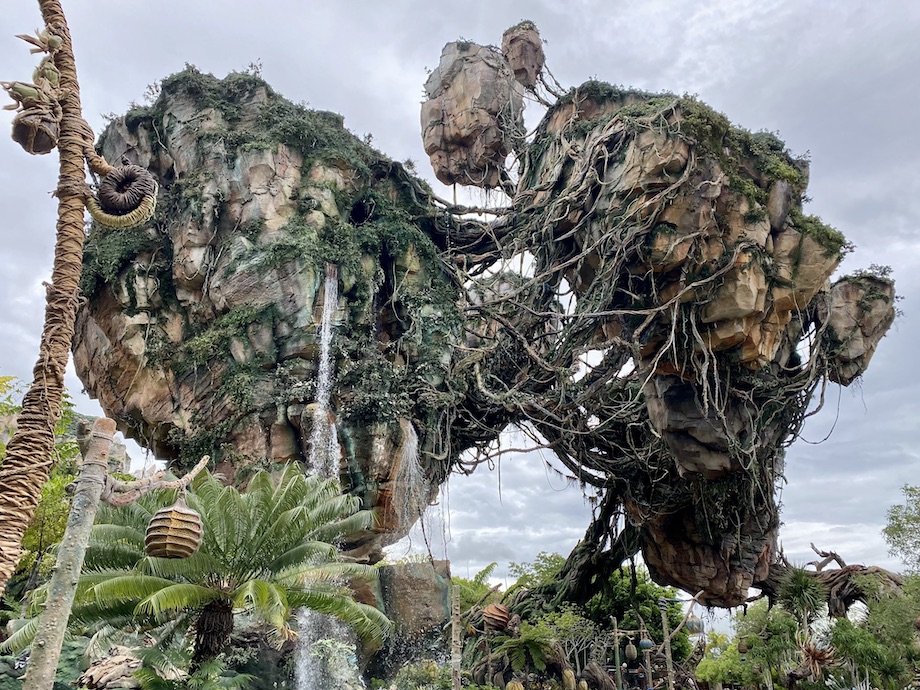 Avatar Flight of Passage Disney's Animal Kingdom